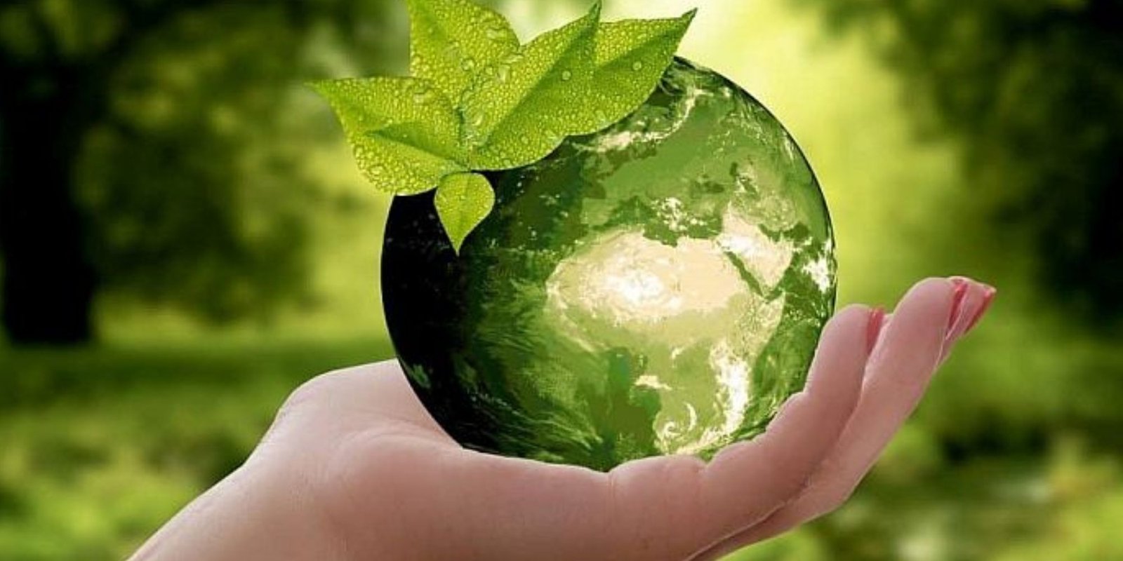 Sustainable Innovation: Balancing Progress with Environmental Responsibility